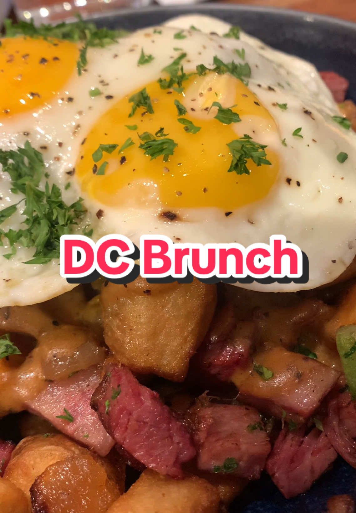 Michelin-approved eats without the Michelin price tag. @Visit Washington, DC #washingtondc #traveltiktok #dctravel  #creatorsearchinsights 