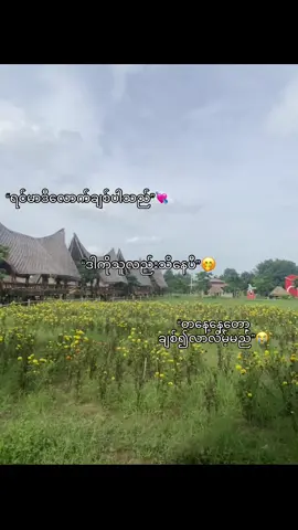 တနေ့နေ့တော့ ချစ်၍လာလိမ့်မည်😭❤️‍🔥