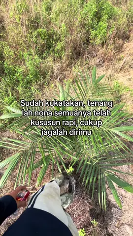 🌴 #sawitontiktok #sawitsumatra #story 