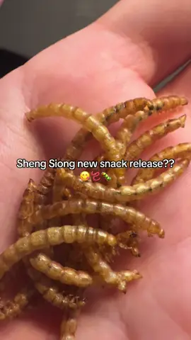 Yes, you can now snack on mealworms straight from the supermarket 👀 Crunchy, savoury, and oddly addictive — would you try it? 🐛 #mealworms #edibleinsects #weirdsnacks #supermarketfinds #singaporeeats #highprotein #TikTokFoodie #sgfyp #sgtiktok #shengsiong #sgsnacks #sgfoodie 