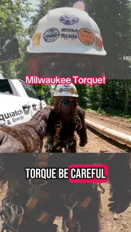 That Milwaukee torque is a different kind of animal. Make sure you're braced for it. @Milwaukee Tool #milwaukeetools #bigfoot