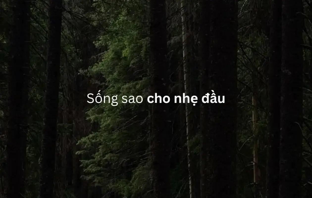 nếu bạn không biết điều đó - bạn sẽ dâng trọn cho người khác 🏞️🏞️ #vaynhanhbangdangkyxechinhchu #bắcninh 