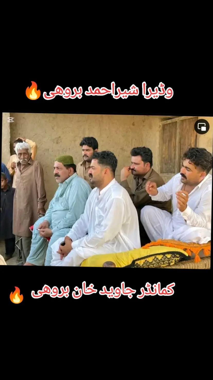 وڈیرو شیر احمد بروھی🔥کمانڈر جاوید خان بروھی 🔥✌✌