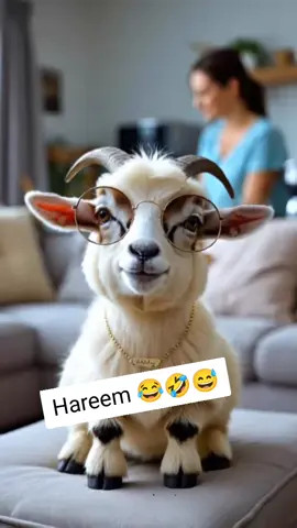 Hareem ka bakra 🤣🤣 Goat Calling Hareem #trending #viral #funny #goat #foryou 