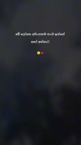 Hm 😌💗 #viral #Love #terding #loveyou #fypシ #lovestory #foryou #srilankan_tik_tok🇱🇰 #whatsappstatus #tiktok #sinhalawadan❤🥰🖤 #trendingviralvideo #stutas_video🦋🦋 #viralvideo 