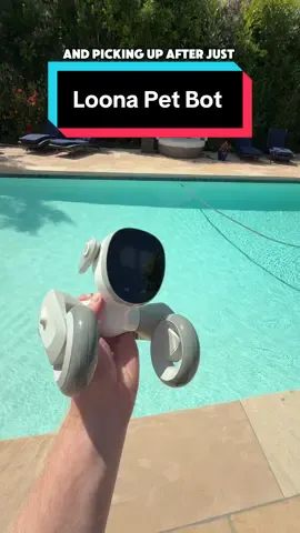 @LoonaPetbot recognizes your emotions and responds to you like a real pet without the hassle. Check out how you can get a Loona pet bot on sale in the the 🔗 in our BIO!  #loonapetbot #loonarobot #SummerwithLoona  #pet #petbot #loonapartner