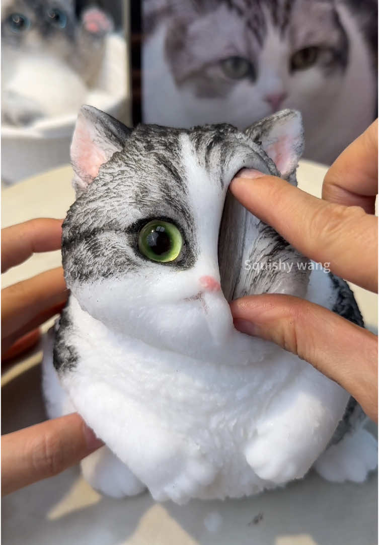 Chubby cheek squishy time#DIY #squishy #kitty #dog #art #cute #handmade #puppy #craft #foryou #custom #fy #teddy #bird #ragdoll #painting #cat 