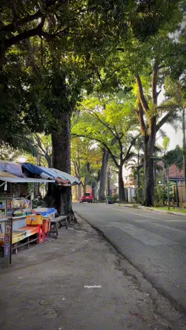 Jalan santai di bandung kota💙✨ Lokasi di malabar kota bandung #bandung #wisatabandung #bandungraya #bandungaesthetic #infobandungkota #bandunghits #explorebandung #jalananbandung #jelajahbandung 
