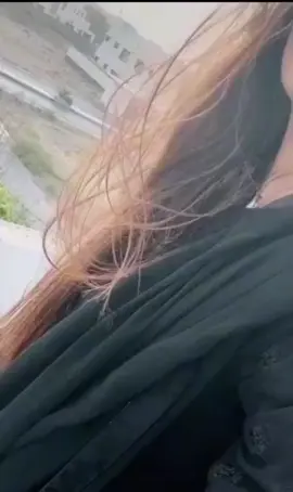 🌸🌸🌸🌸