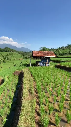 Tempat niis  #jelajahciwidey #viral #fyp #banjaran 