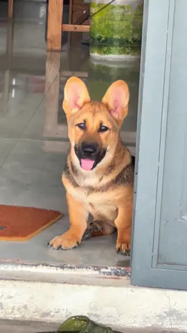 ẻm 4 tháng 20 ngày tủi mà ẻm 10 kí mấy mom ơi :)))