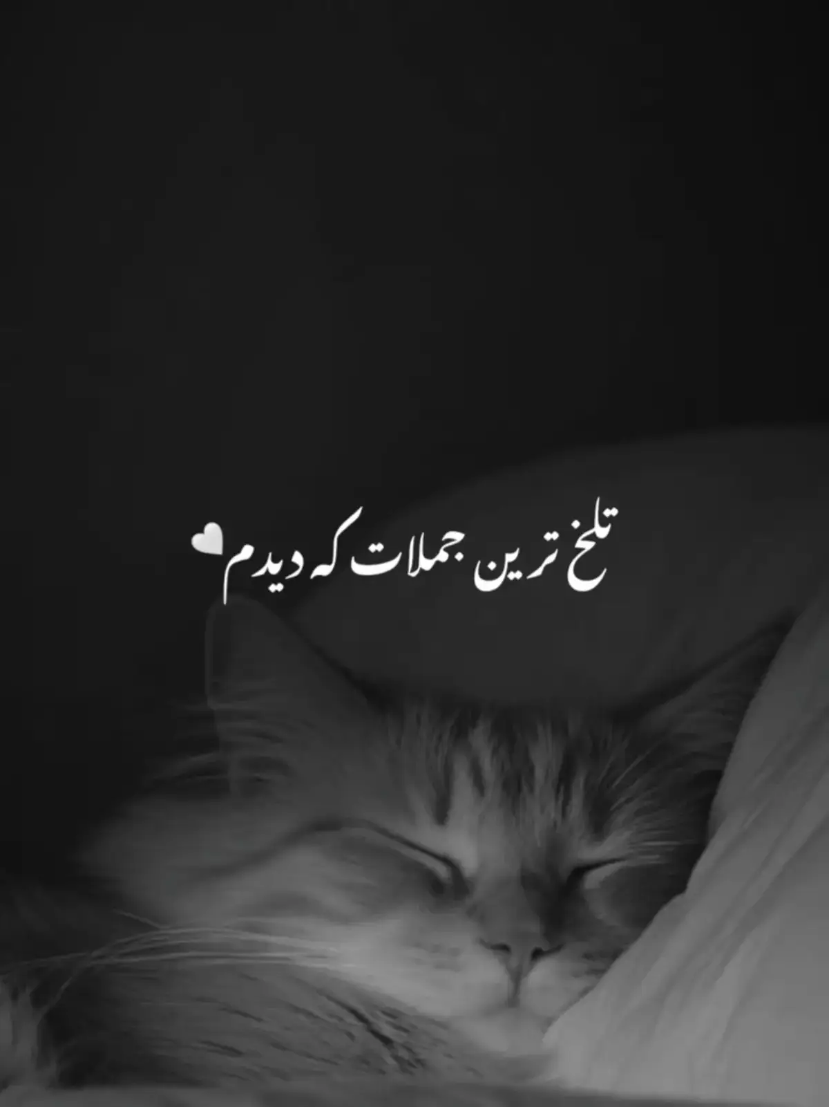 #جمله______های______غمگین___         #تاجیک_هزاره_ازبک_پشتون_ترکمن🇦🇫❤ #tiktokviral #furyourpage #fury 