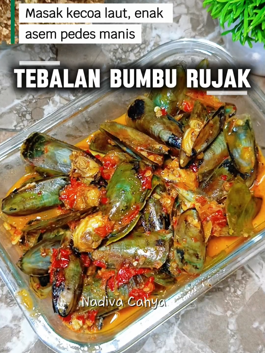 Udah pernah masak kecoa laut?? 