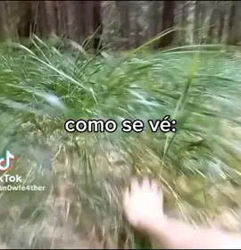 (si no te gusta el contenido desliza :v) #therian #animals #therians #paratiiiiiiiiiiiiiiiiiiiiiiiiiiiiiii #viralditiktok #viral #paratii #viral #therianthropy #viralllllll #paratii 