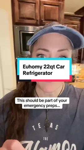 #euhomy #carrefrigerator #minifridge #portablerefrigerator #emergencygear 