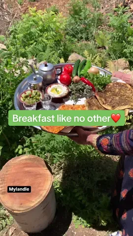 لو وين ما سافرنا ورحنا، ما في شي بعوّض عن هيك قعدة وترويقة بنصّ الطبيعة ومن ديّات الحجّة 😍🥰 الله يطول بعمرن  Featuring @Mylandle  ❤️ المكونات :  كوب ونصف كشك  ٣ بندورة حبة وسط مستوين وحمر ١ بصل حجم وسط  ٦ حصوص ثوم  فليلفة حجم وسط  حر حسب الرغبة حجم وسط احمل  ربع كوب زيت زيتون  وربع كوب زيت نباتي كرمال ما يحرق الكشك ملاحظة “يلي ما بحب طعمة الكشك قوية في يضيف نصفة ملعقة طعام كمون او بهار كبسة “  نصف كوب ماء   ملعقة صلصة بندورة اذا الخليط ما كان لون زهر.  الطريقة : ننقع الكشك بالماء والبندورة لتتشرب الكشك البندورة وتعشقها “ اذا البندورة منها حمرة فيكن اضيفو معجون البندورة نصف ملعقة “  ، منضيف الخضار ، ملح والزيت النوعيين ، والبهاء حسب الرغبة اكيد . وبالعافية للجميع #BeirutFood #WhereToEat #WhereToEatLebanon