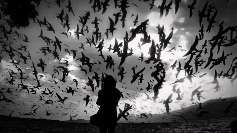 thật là chill..#mautamtrangbuon💔🥀 #fbtxuhuong #ascend_enter 