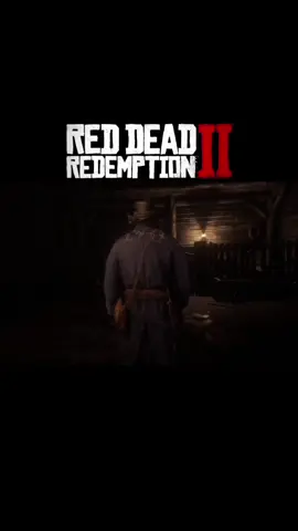 playing #redr2