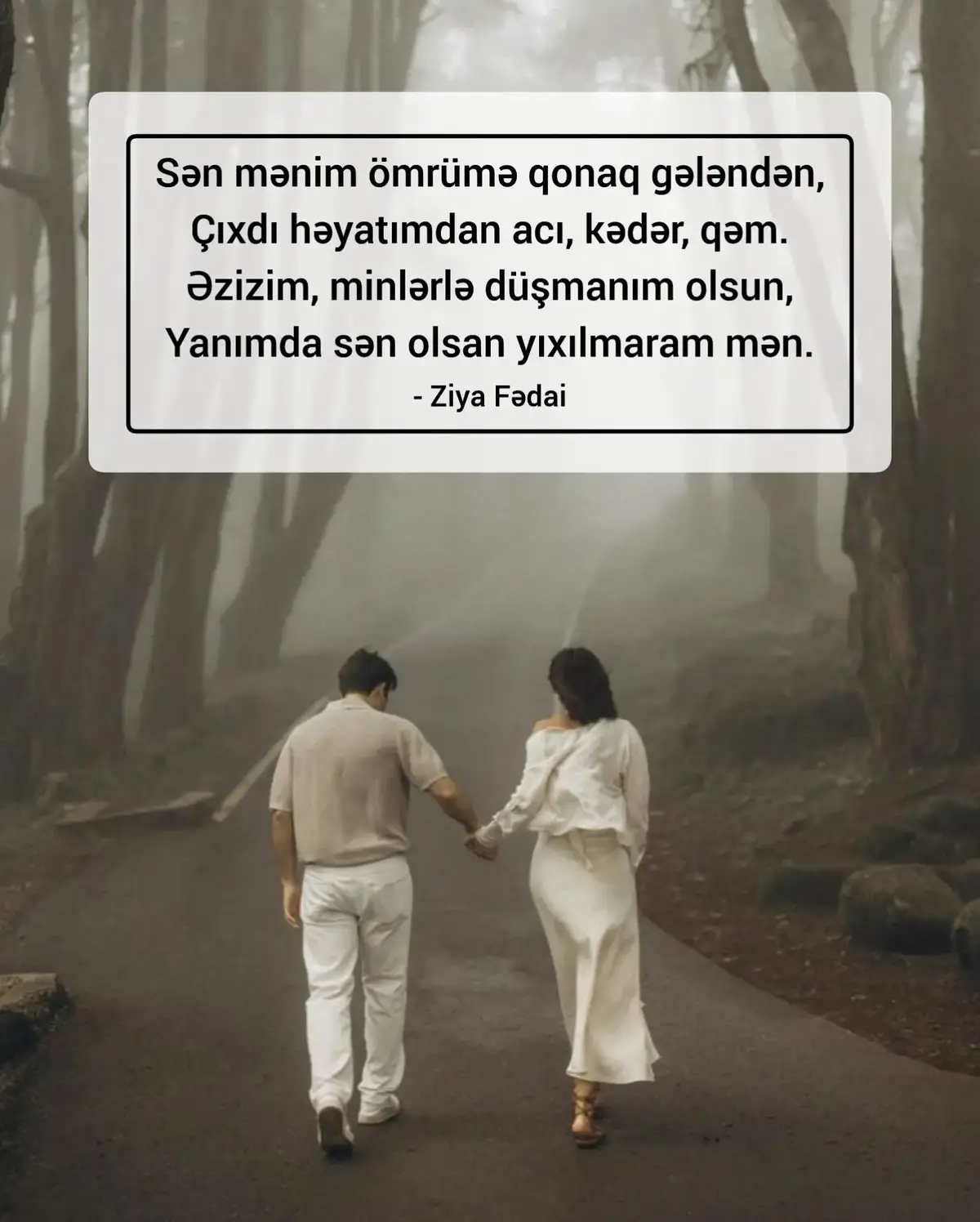 #ziyafedai 