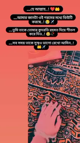 #duet with @✈️👸প্রবাসীর রাজরানী👸✈️ #স্বামীর_স্ত্রীর_ভালোবাসা 