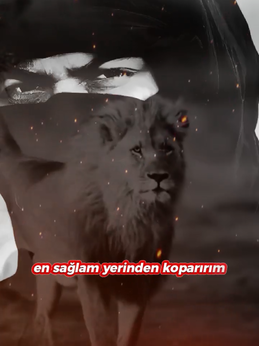 #CapCut #🇹🇷🇹🇷🇹🇷 #🇩🇪 #🇳🇱 #güzelsözler #atarlısözler 