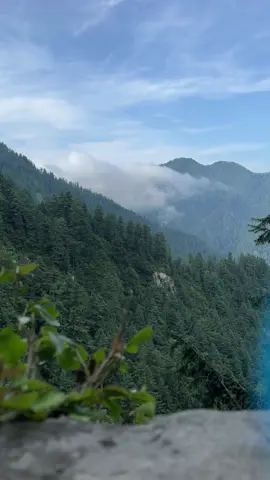 Badal ki chadar #nature #naturelovers #viralvideo #trending #foryoupage #unfreezemyacount #unfreezed_my_id_tiktok #viral #fog #foggy #murree #fyp*°viral #fyp #fypage