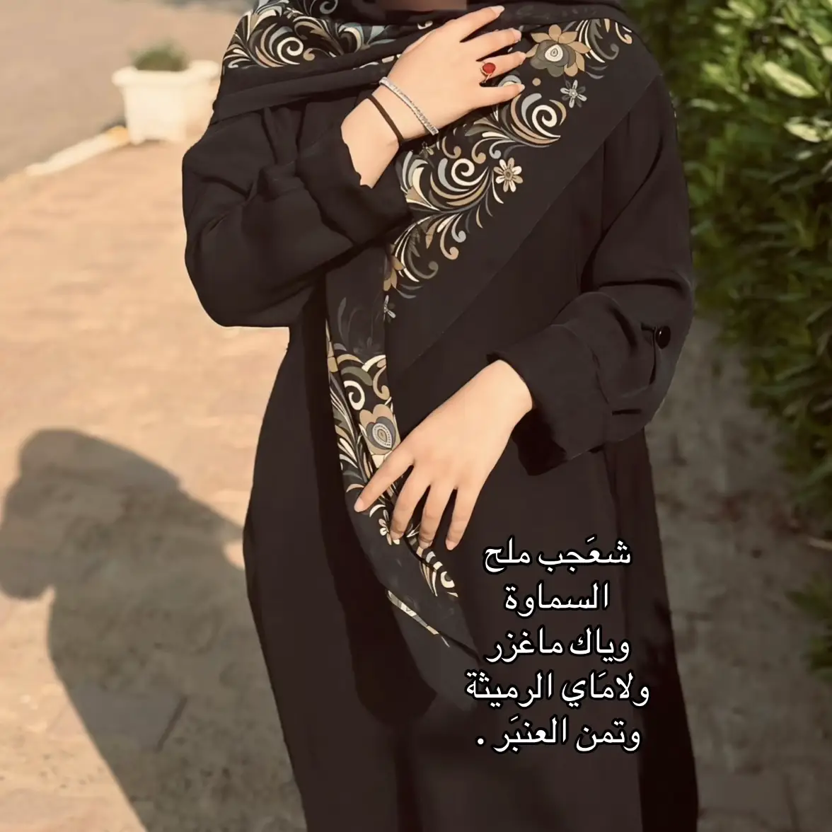 #السماوة #المثنى_السماوه #جامعة_ذي_قار #جامعة_المثنى #الناصرية_بغداد_السماوه_البصرة_العمارة #جامعةذي_قار #قسم_اللغة_العربيه 