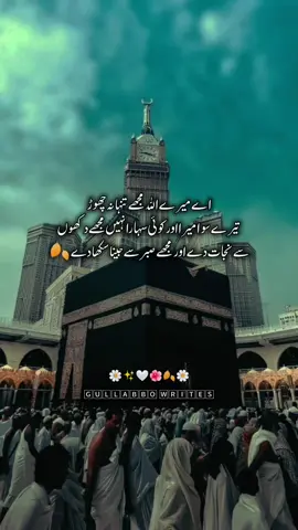 #trendingtiktok #gullabbo08 #fypシ゚viral #unfreezemyacount #fypシ゚viral🖤tiktok #fypシ゚viral #trendingtiktok #fypシ゚viral 