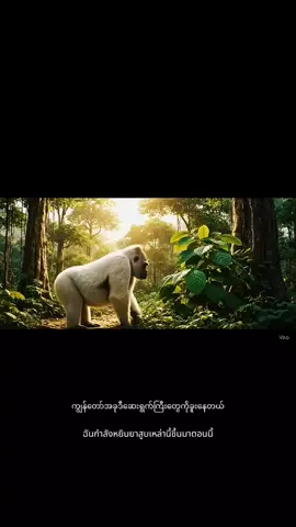 #ငါသေမှfypပေါ်ရောက်မှာလား🥲 #viewတွေကျနေလို့ #မင်းတို့ပေးမှ❤ရမဲ့သူပါကွာ 