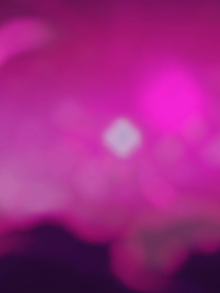 Кто ждал Богов?#вакфу #wakfu #dofus #waven #yugo #wakfuedit #gods #god#foryou #fyp #рек