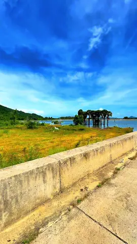 Hồ Núi Dài - Tri Tôn. Thiên nhiên hoang sơ và hùng vỹ. #thanhphochaudoc #xuhuongtiktok #AG #angiang #chaudoc #nuidai 