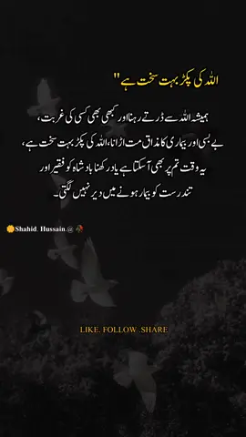 اللہ کی پکڑ  #1milionaudition#easthetic#foryou#poetrystatus#foryoupage#fypp#dopalpoetry #poetrystatus #foryoupage #@TikTok 
