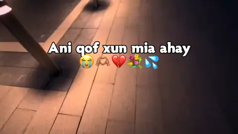 only ciyaal xamar like sarr 🤴💦