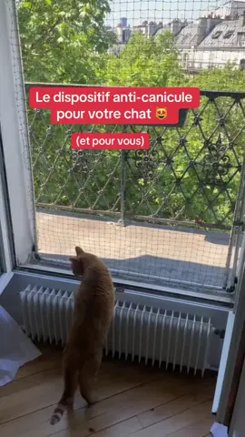 Il va faire très chaud alors ouvrez vos fenêtres mais… sécurisez-les avant ! 💙 #securite #chat #protection #fenetre #appartement #immeuble #regionparisienne #paris #iledefrance #accident #chute #canicule #chaleur #conseil merci à @Amanda Rollins pour sa confiance. 🙏🏻 