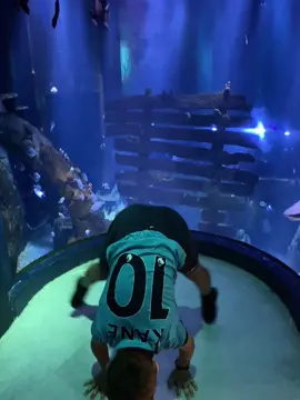 Got on hand in sealife Crazyjusti #fypシ゚ #travel #ходьбанаруках #workout #dream #handstand #beautyfullday 