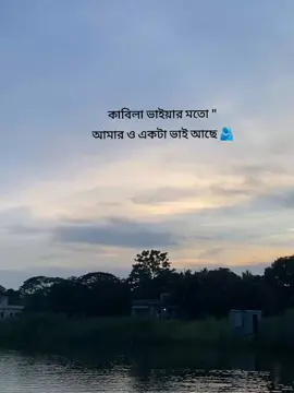 কাবিলা ভাইয়ার মতো 