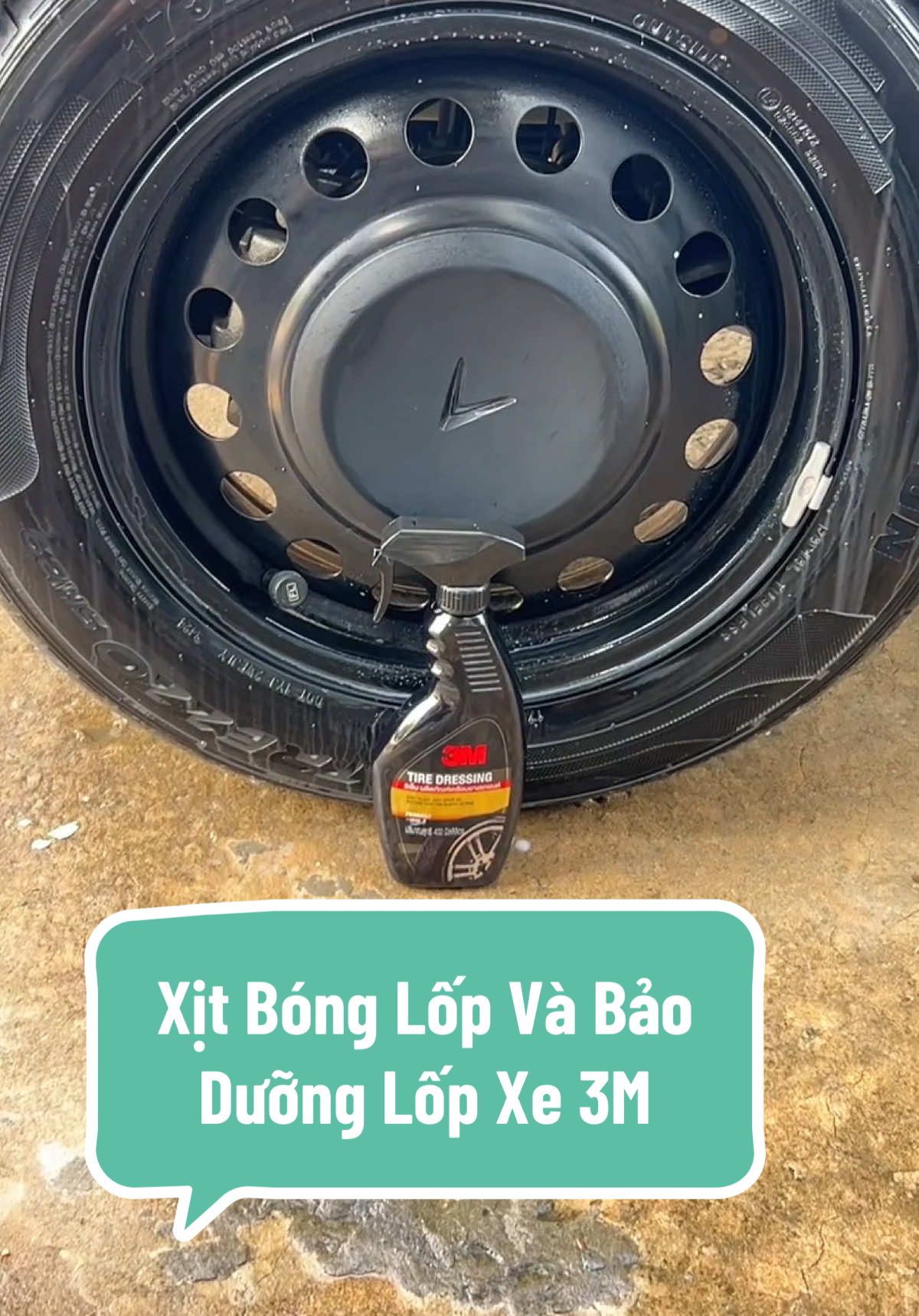 Xịt Bóng Lốp Và Bảo Dưỡng Lốp Xe 3M! #sangtridaily #vf3 #vesinhoto #baoduonglopxe #3M 
