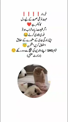 😂 #foryou #foryoupage #cuteness #cutecat  #catvideos #funnyvideos😂  #cutenessoverloaded #fyp 