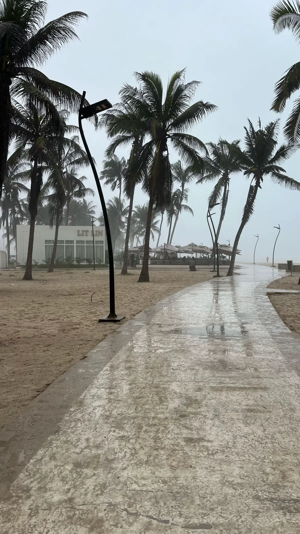 #صلالة #خريف_صلاله_2025 #salalah🇴🇲 #explore #oman 