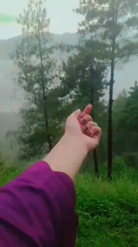 ❤️#viral #kashmir #lovekashmir #foryou #fypシ゚ #kashmirwithstand #kashmirwithstand_foryourpage #foryou 