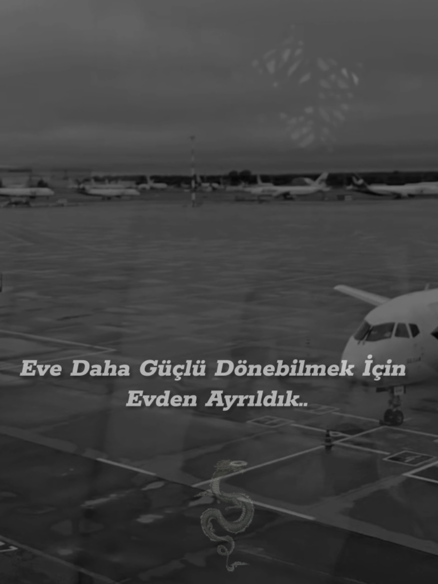 Eve Daha Güçlü Dönebilmek İçin Evden Ayrıldık..#qarafon #başımbelada #dolyavorovskaya 