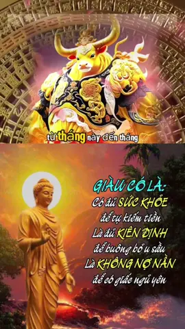 Chúc mừng #tuvi #tuvi12congiap #phongthuy #tuvisomenh