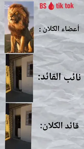كلان bloodstrike bs🩸 #bloodstrike #fyp #foryou #foryoupage #شعب_الصيني_ماله_حل😂😂 #video 