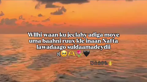 #fyppppppppppppppppppppppp #soomaali_tiktok #fyppppppppppppppppppppppp 