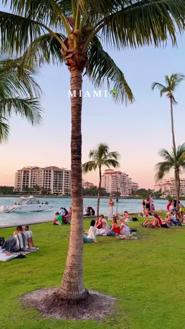 Miami vibes >>>