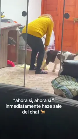 The whole world is afraid of the word “mom”#dog#funny#funnyanimals#funnypets#animals #dogsofttiktok #pet #foryou #longervideos