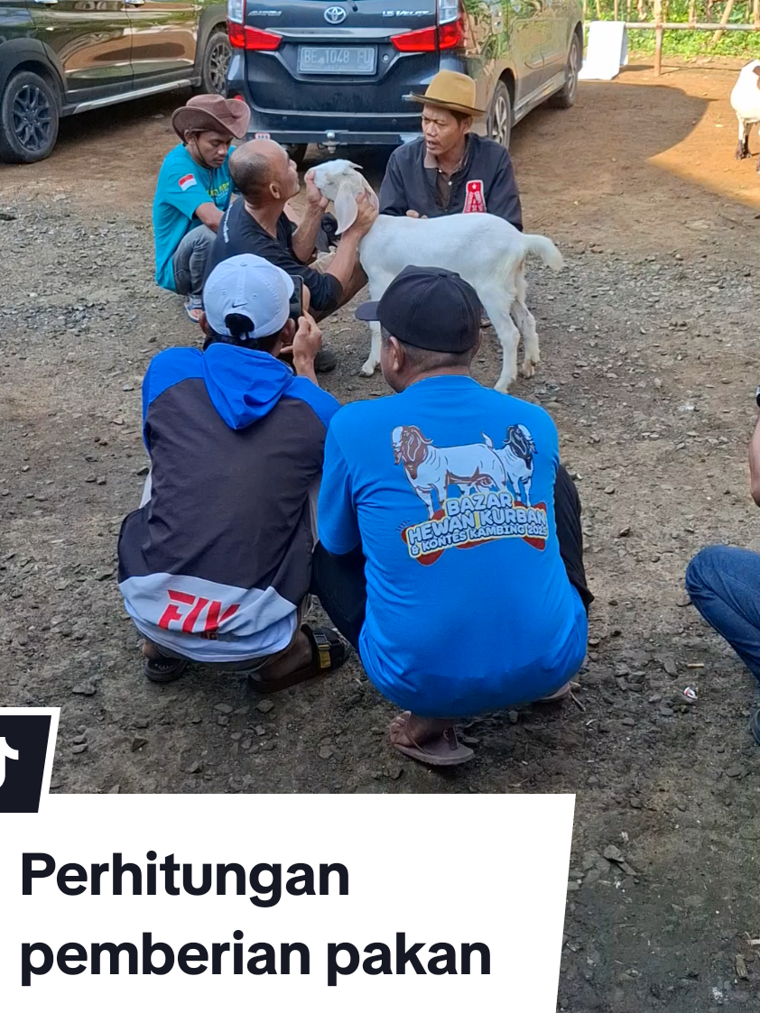 Keseimbangan dalam pemberian pakan adalah salah satu  kunci keberhasilan dalam beternak . karena nutrisi dan komposisi pemberian pakan sefiap kambing berbeda, antara jantan, betina hamil, induk laktasi dsb . Diskusi dan belajar bersama ith sangat menyenangkan 