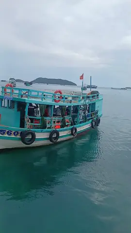 #viraltiktok #xuhuongtiktok #viralvideo #namdu # đi c.âu c.á thôi