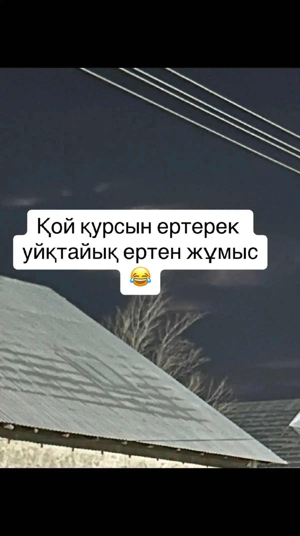 #fyp #рек 