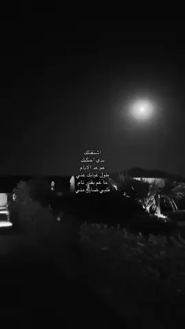 #محمد_شاكر #viral #fyp #explore #شرم_الشيخ @Mohamed Chaker 